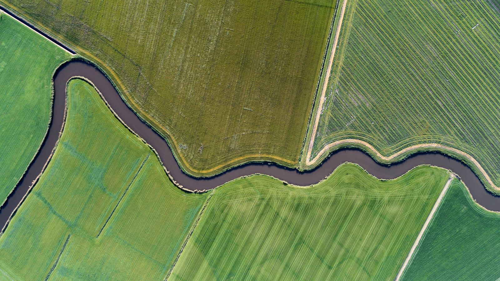 River running through green field